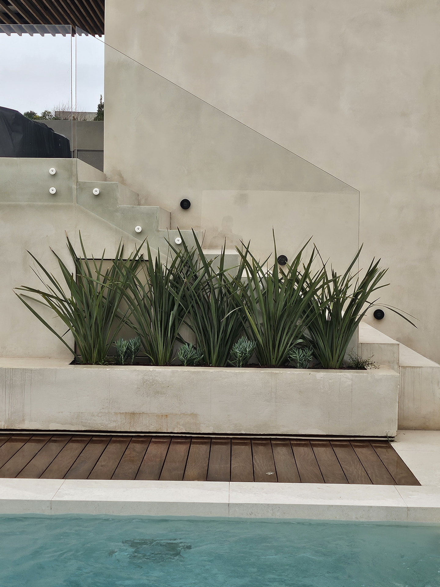 Jardinière maçonnée plantée de phormiums au bord de la piscine