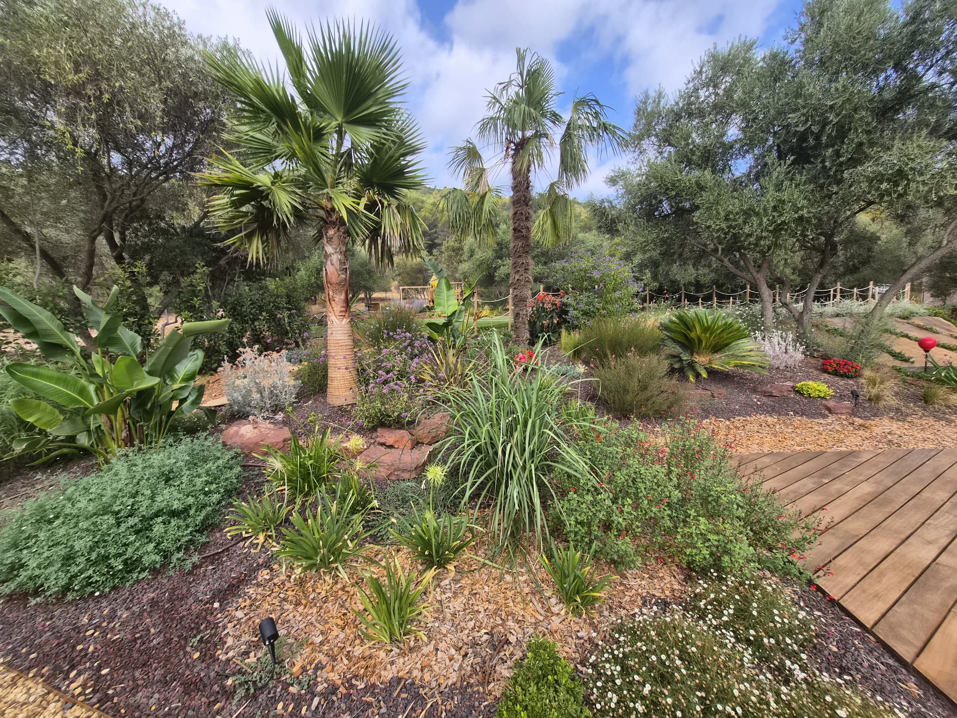 Maison Oasis — photo 11