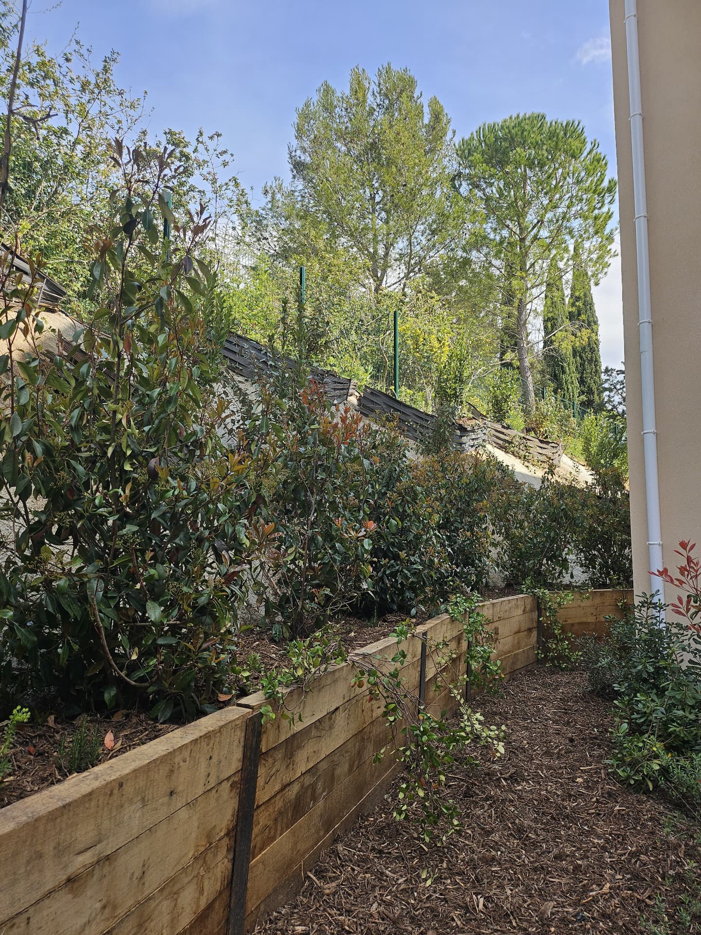 Talus planté et bordures en traverses bois