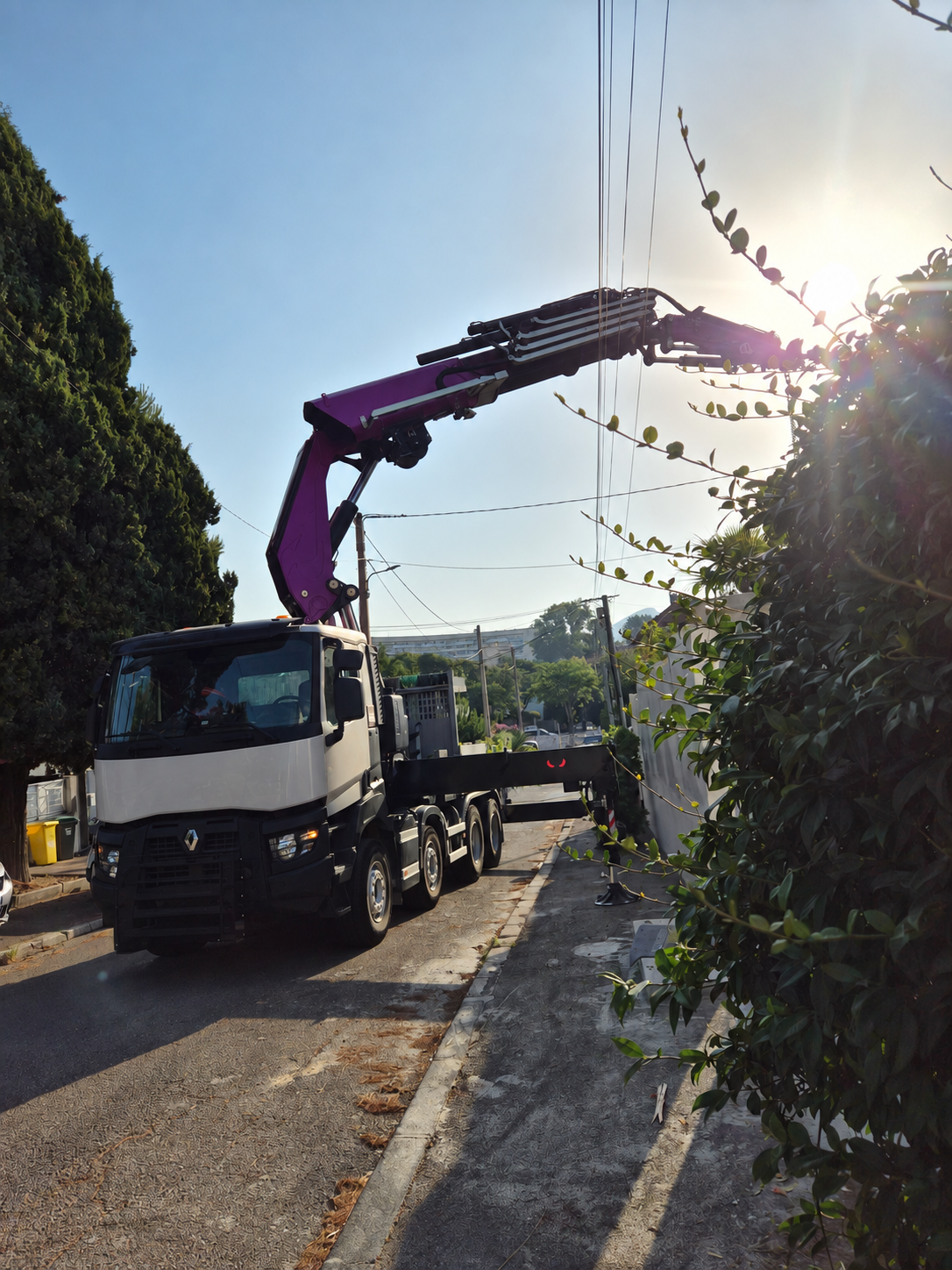 Camion-grue en intervention pour une plantation